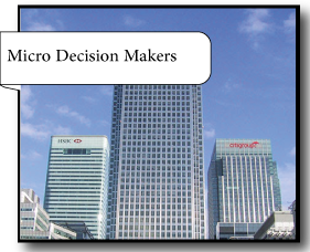 IGCSE Economics microeconomic decision makers; Unit 3; CIE Economics